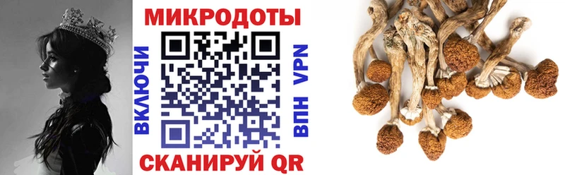 Галлюциногенные грибы MAGIC MUSHROOMS где продают Новошахтинск